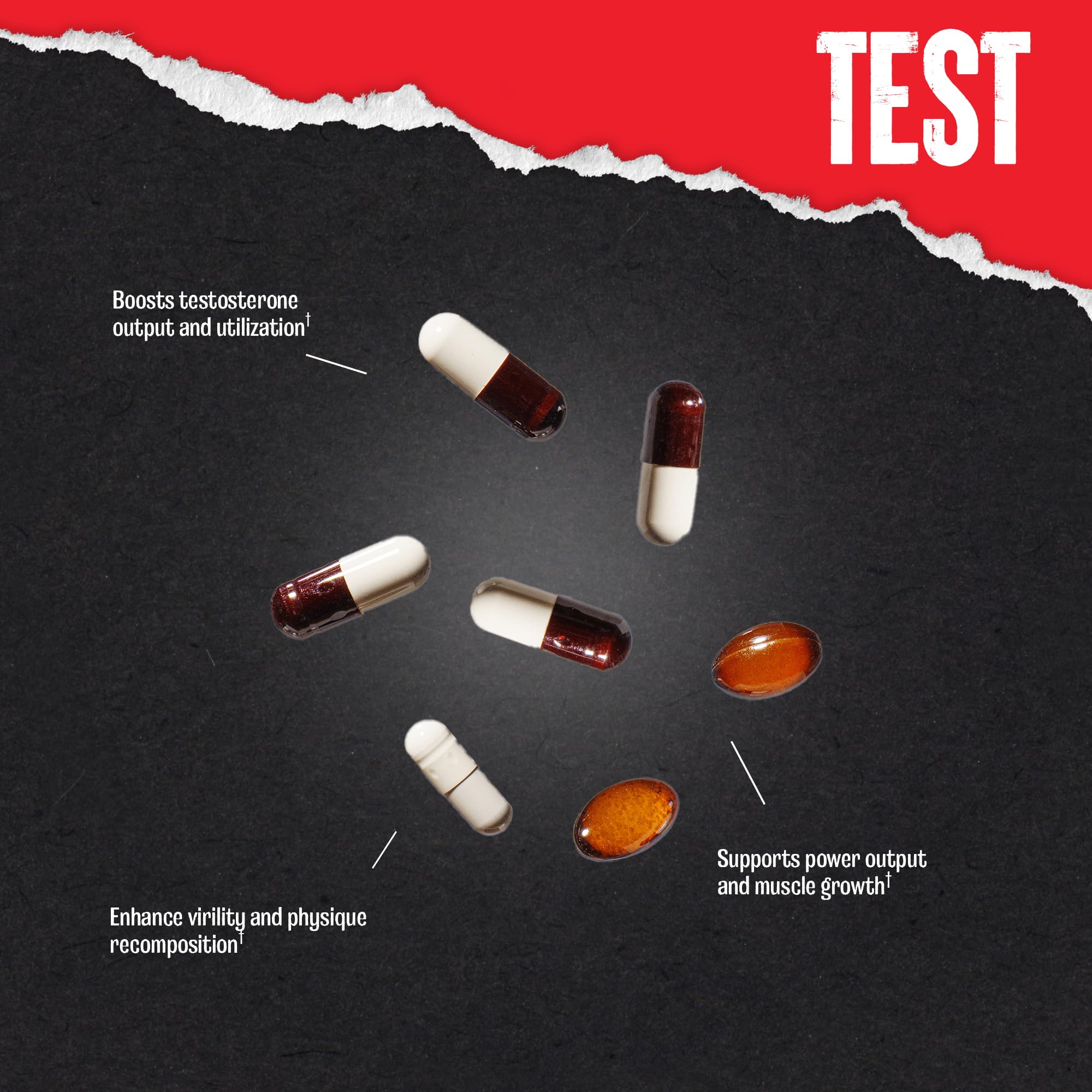 Animal Test guidance showing take-with-meal timing for absorption.