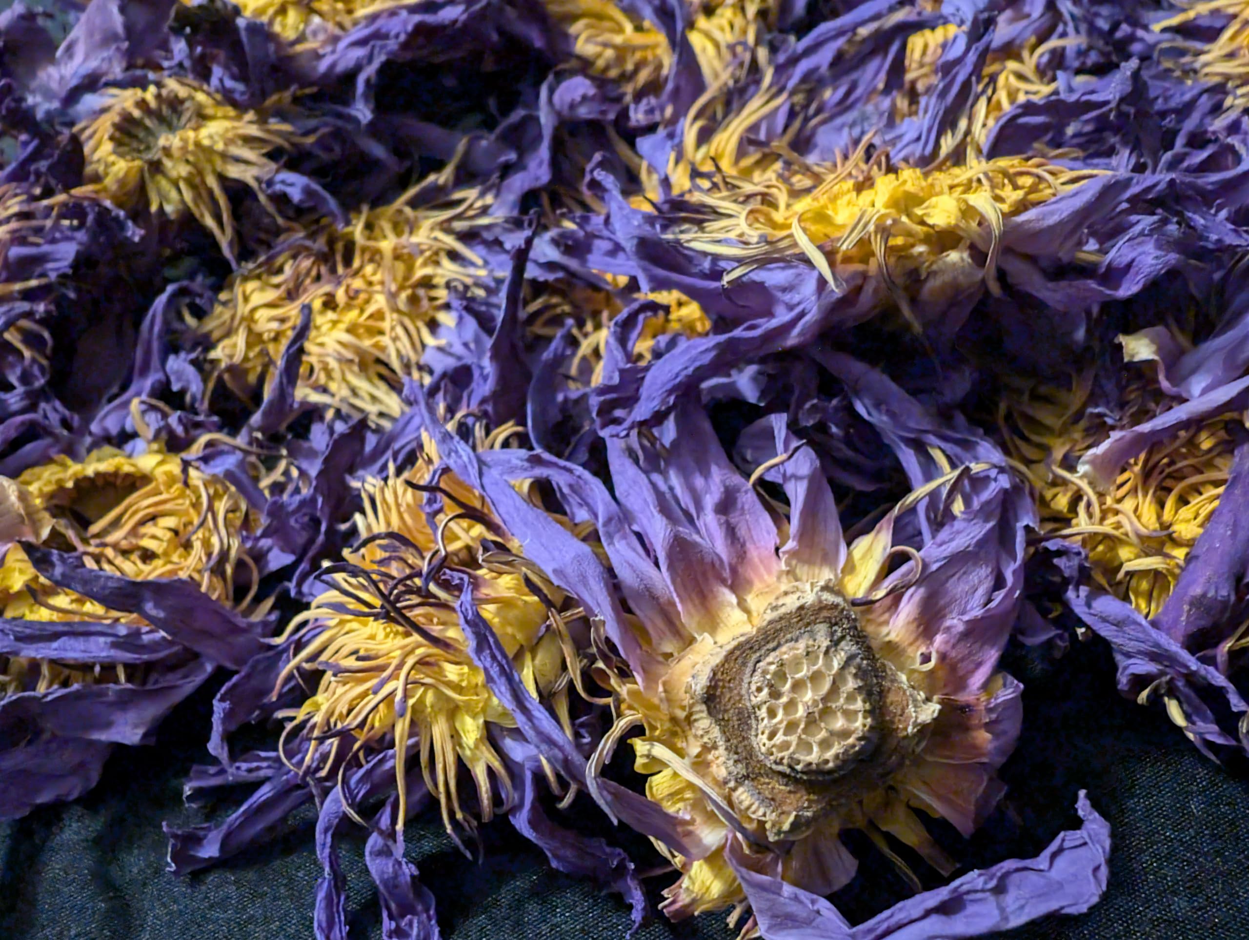 Ankhclave hand-picked lotus tea leaves capture a delicate floral aroma.