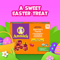Annie's Organic Bernie's Farm raspberry-shaped gummies for kids' lunchboxes.