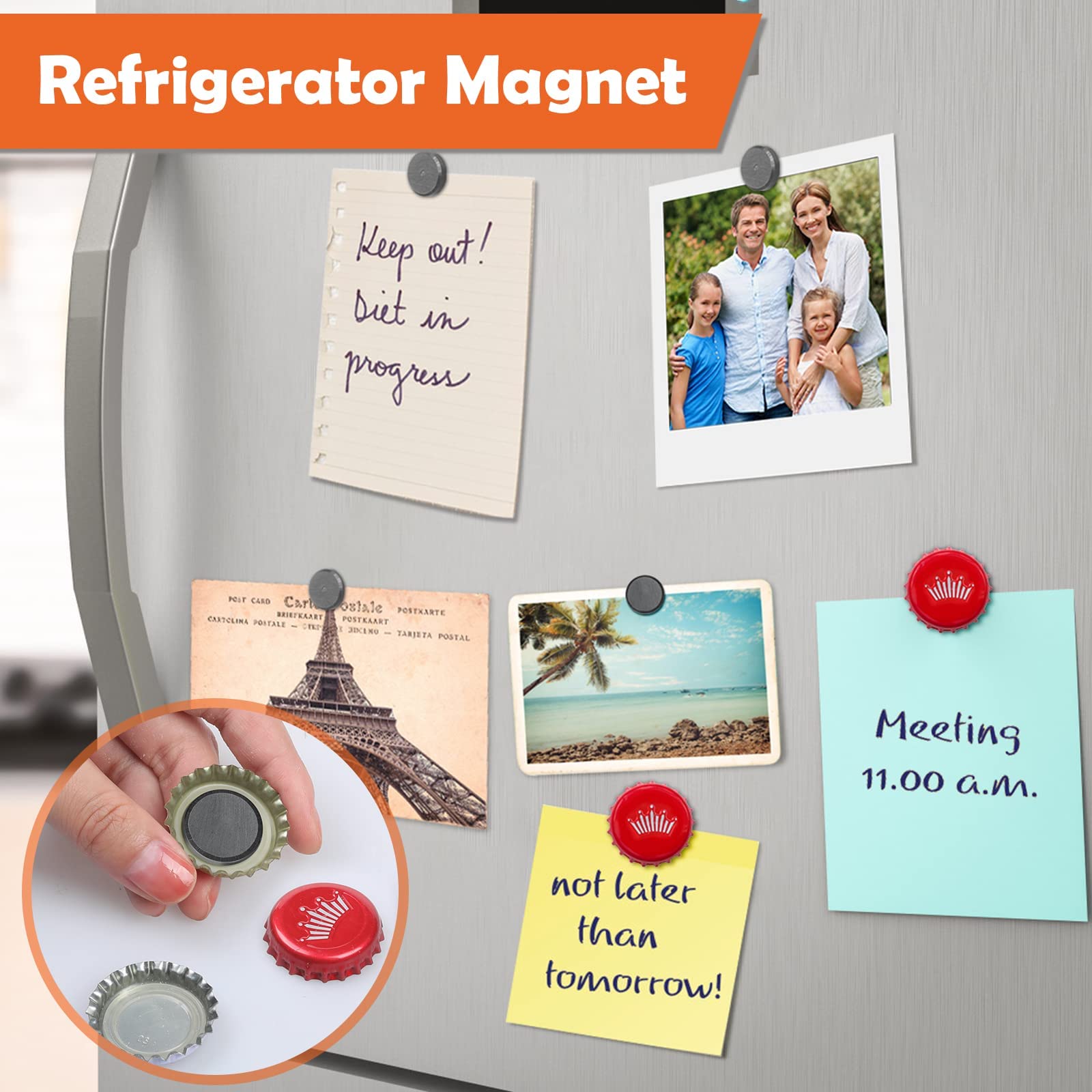 Anpro safe, non-toxic magnets suitable for teens and supervised projects.