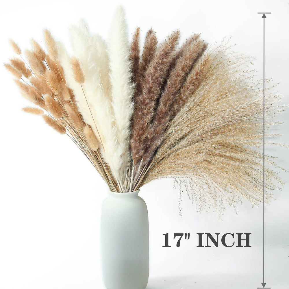 ANPROOR boho vase setup showcasing natural tones and easy maintenance.