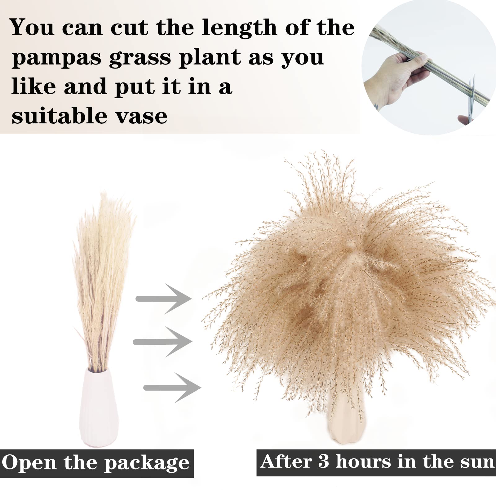 ANPROOR fall and winter dried bouquet adds warmth
