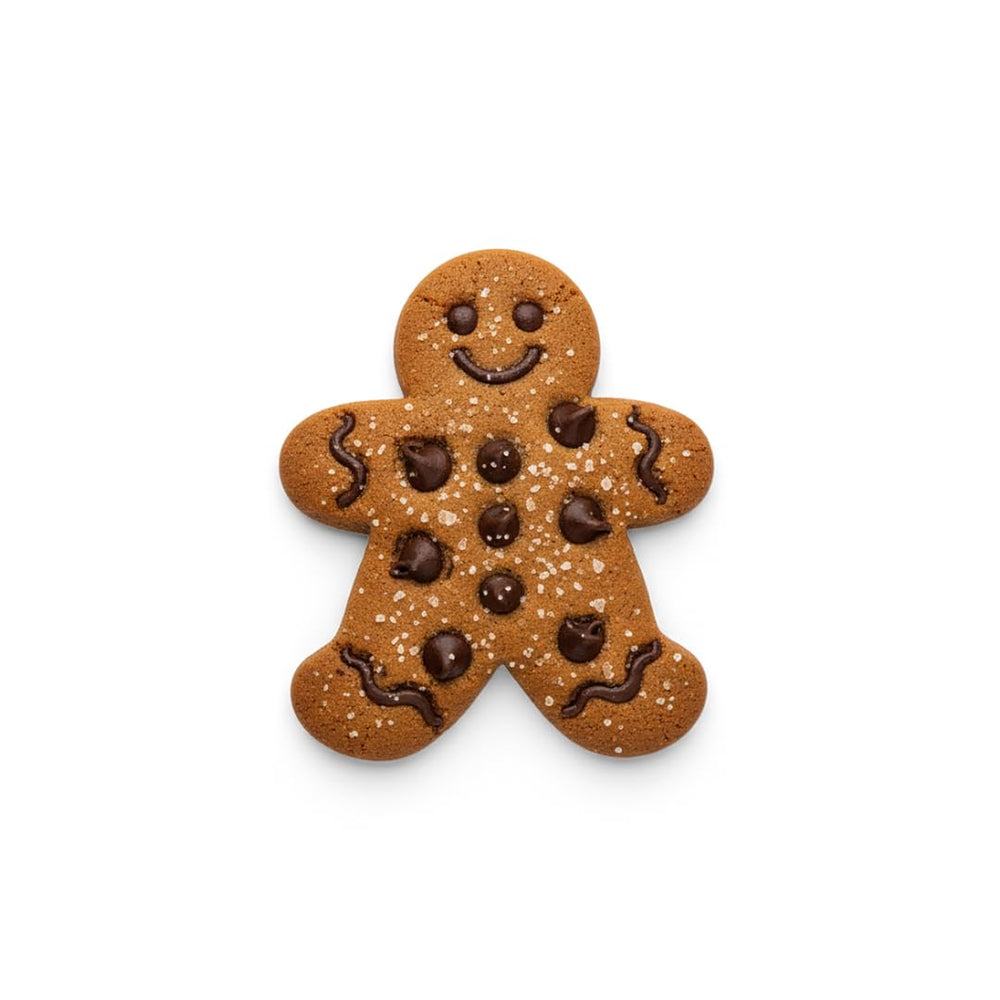 Anti Sugar Free Dark Chocolate Mini Chips plated dessert idea for versatile topping.