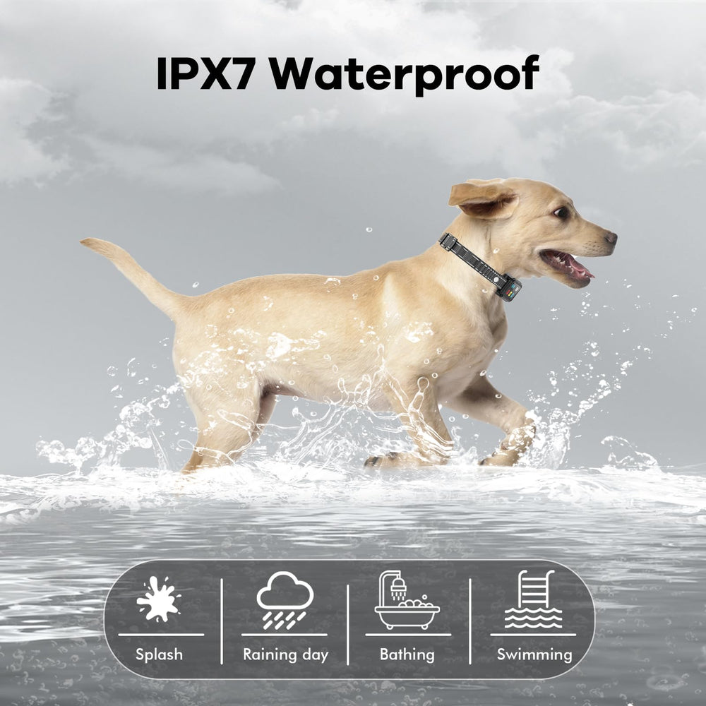 Aolulf IPX7 waterproof collar tested for water exposure.