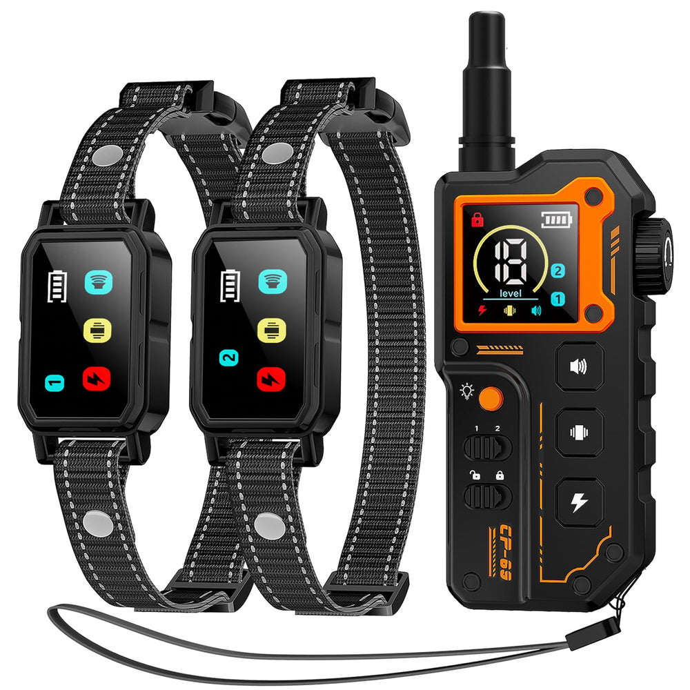 Aolulf remote LED light aiding night training sessions.