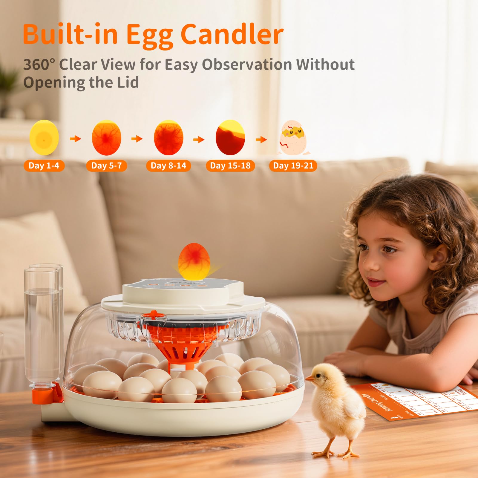APDOE built-in egg candler enables quick checks without opening the lid