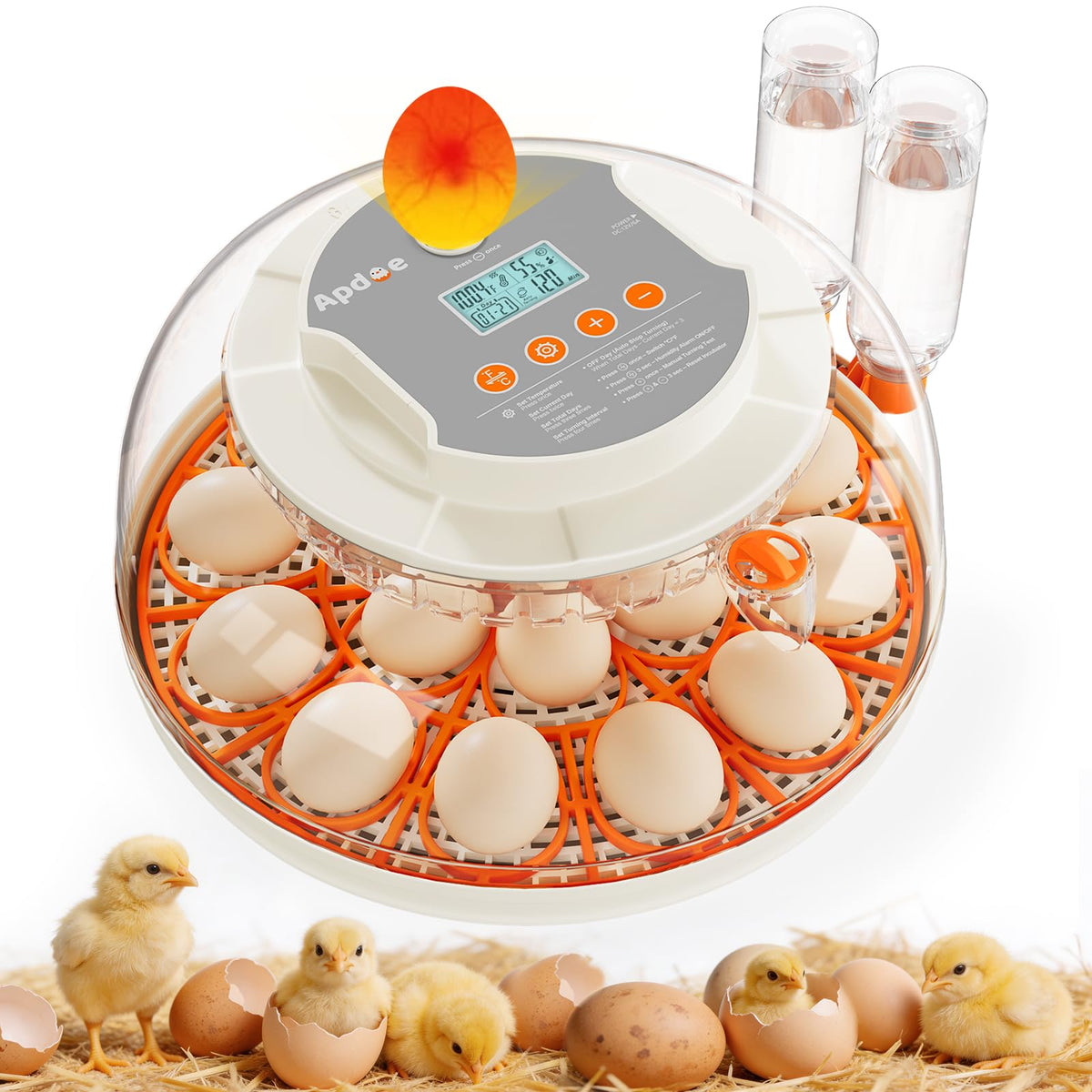 APDOE egg incubator 360 view enables non-intrusive monitoring of developing eggs