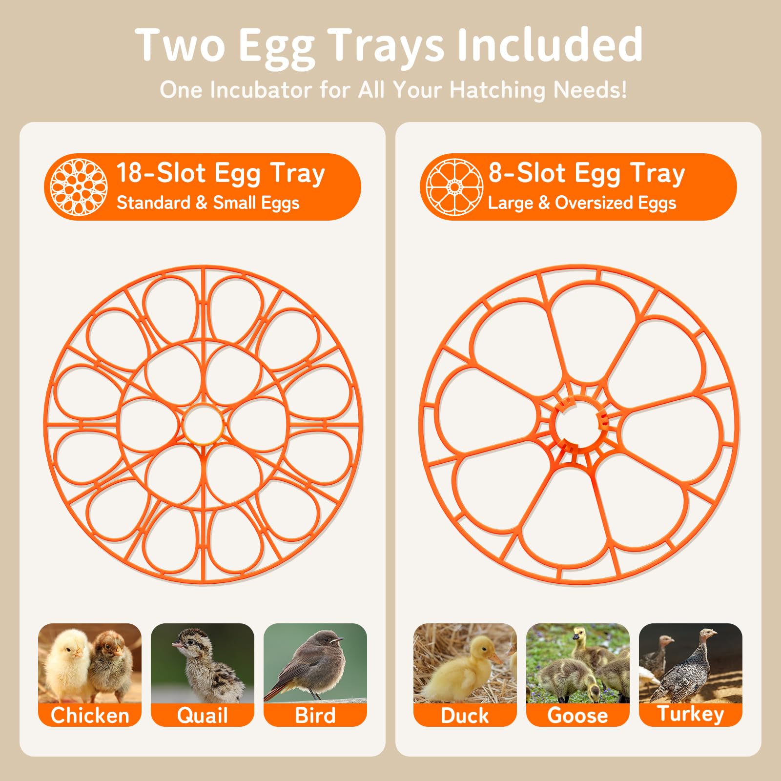 APDOE two-tray setup supports small and mid-size eggs