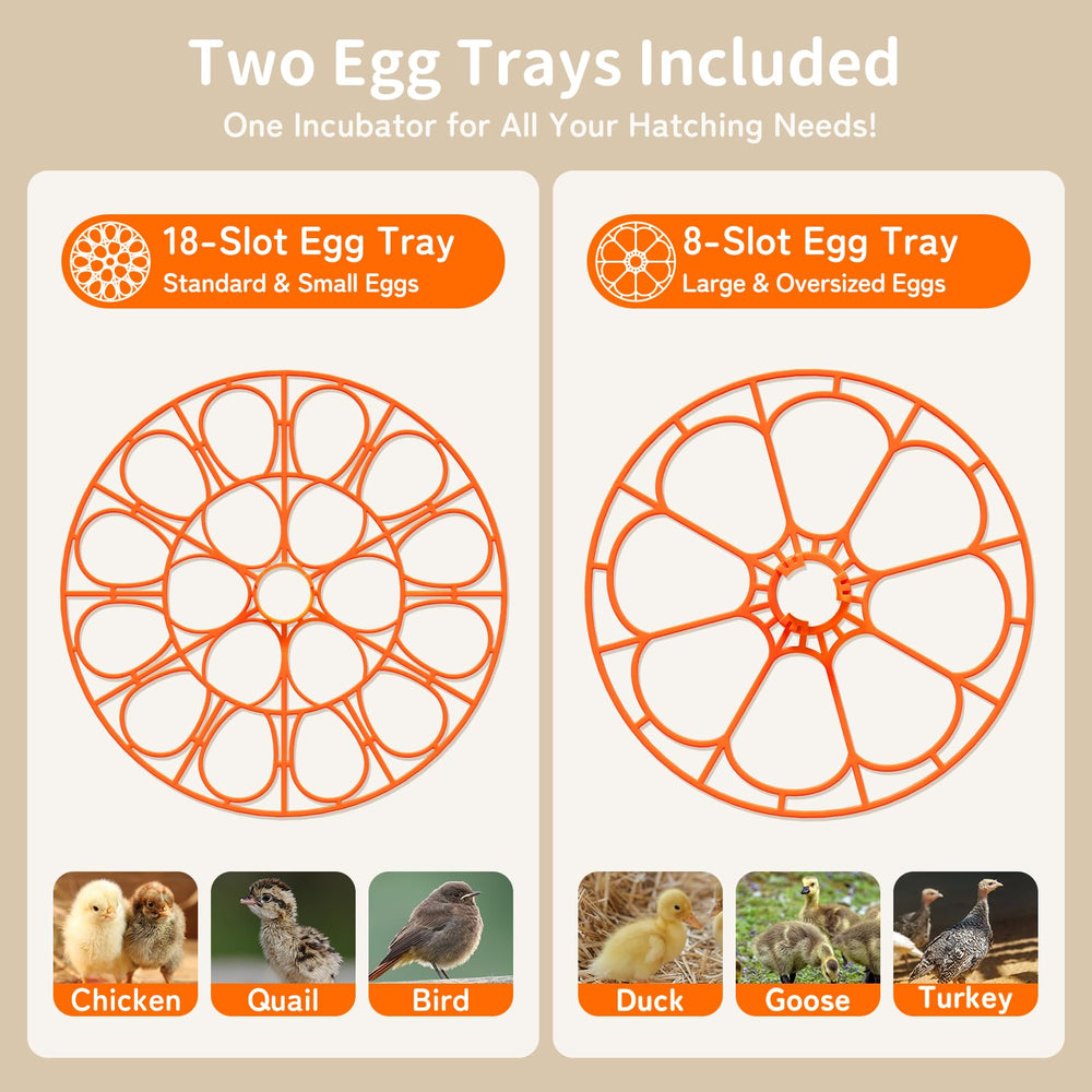 APDOE two-tray setup supports small and mid-size eggs
