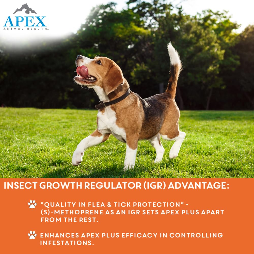 APEX Plus 30-day protection emphasizes one month of flea and tick defense.