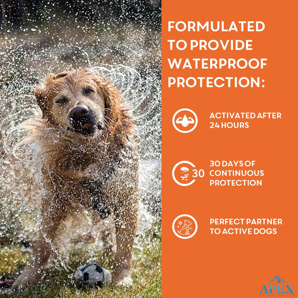 APEX Plus life-cycle-control illustrates flea and tick stage targeting.