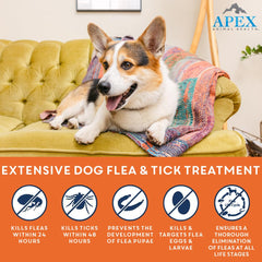 APEX Plus small application site on a dog's coat for even coverage.