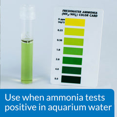 API AMMO-LOCK label closeup highlights dosage for freshwater and saltwater.