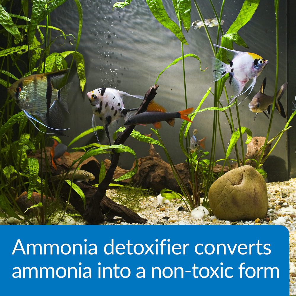 API AMMO-LOCK dosing guide aids safe aquarium ammonia detoxification.