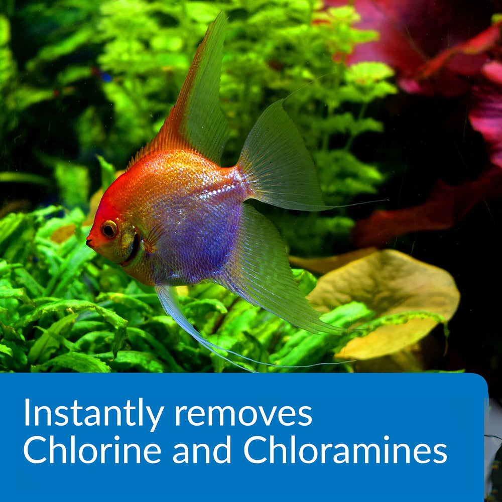 API AMMO-LOCK in aquariums demonstrates safer water for fish.