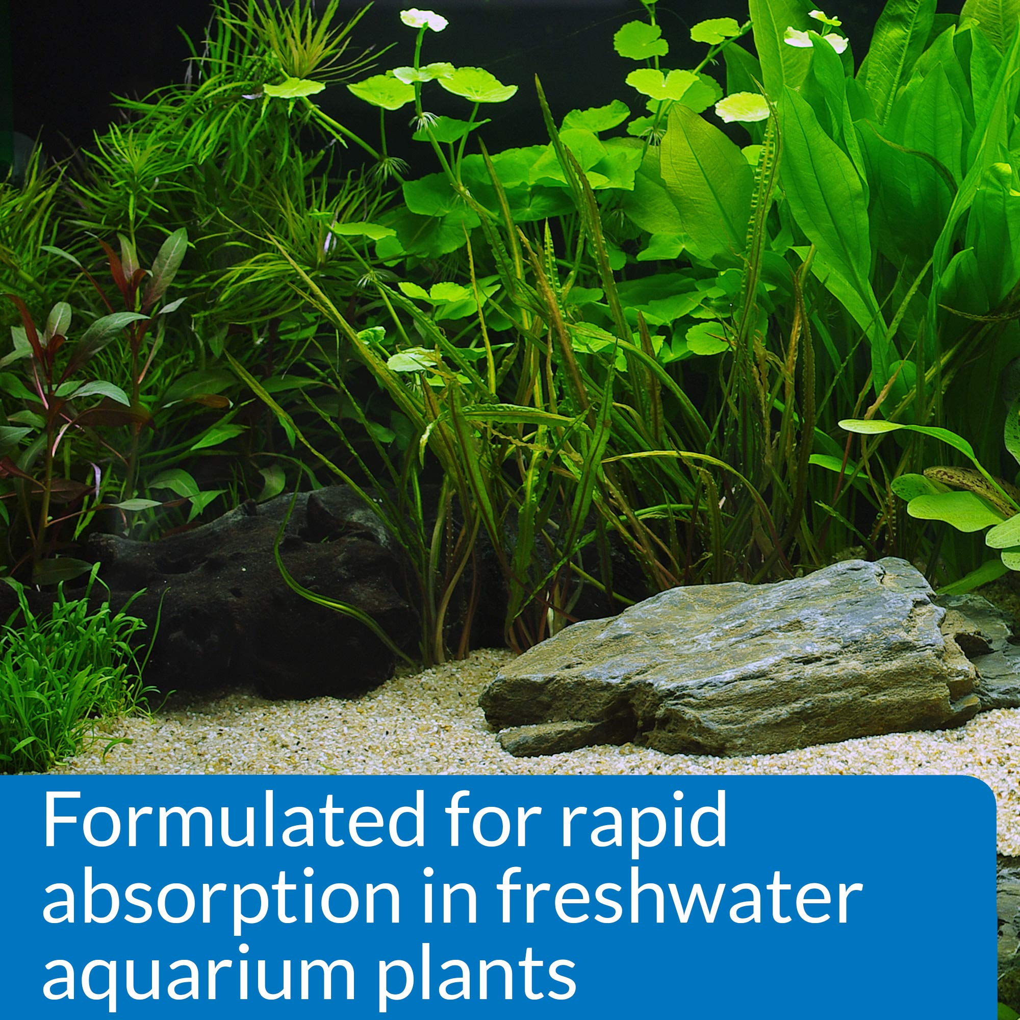 Aquarium scene showing healthy plant growth after API Leaf Zone use