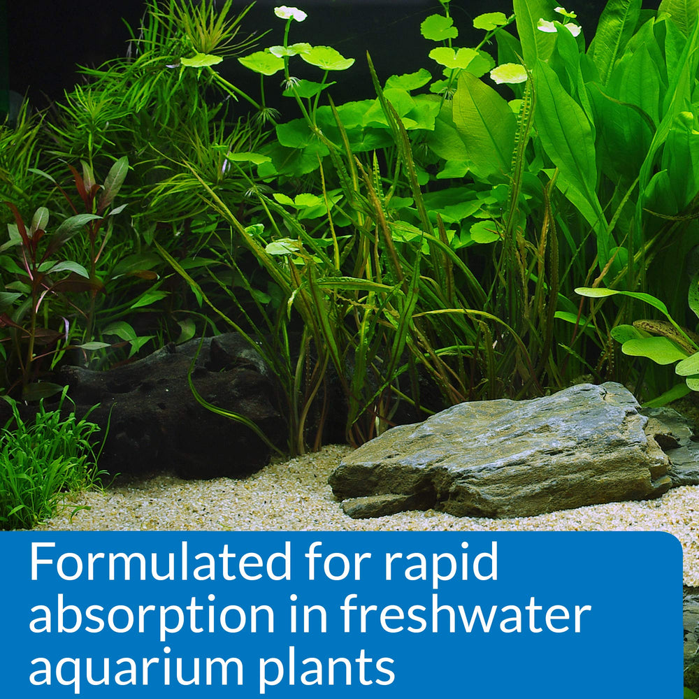 Aquarium scene showing healthy plant growth after API Leaf Zone use
