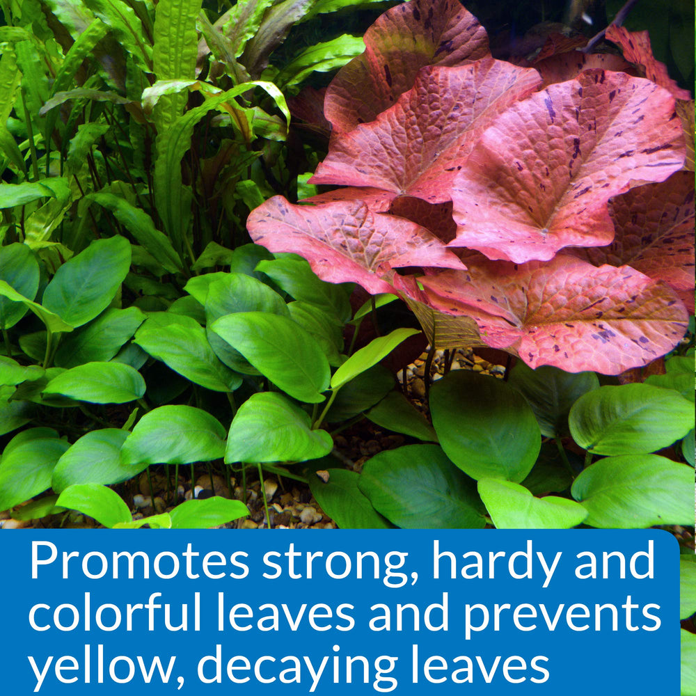 API Leaf Zone with lush freshwater plants thriving in clear water