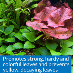 API Leaf Zone with lush freshwater plants thriving in clear water