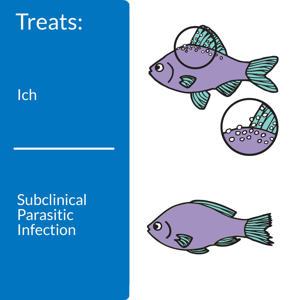 API Liquid Super ICK Cure dosing steps image guides quick, safe dosage for start of treatment.