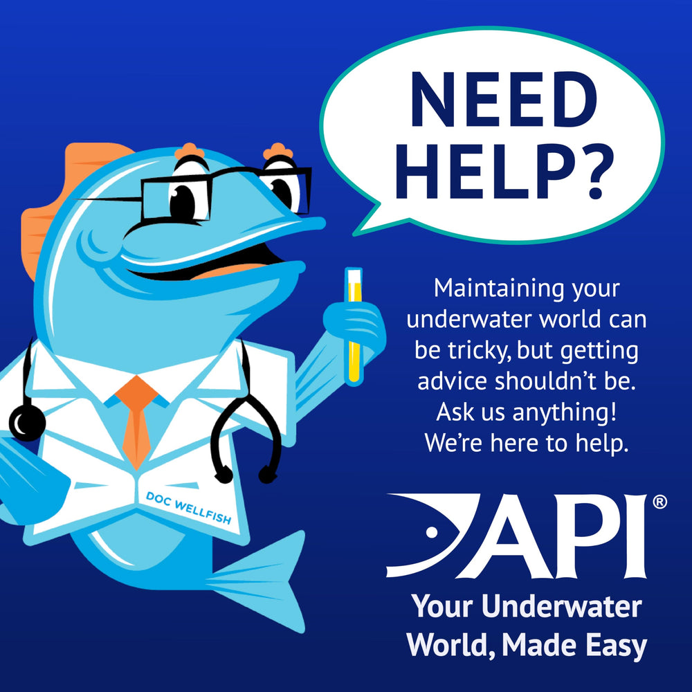 API POND ALGAEFIX used in a fountain to maintain clear water.