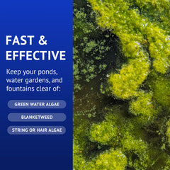 API POND ALGAEFIX green water operation suggests clearer water and reduced algae
