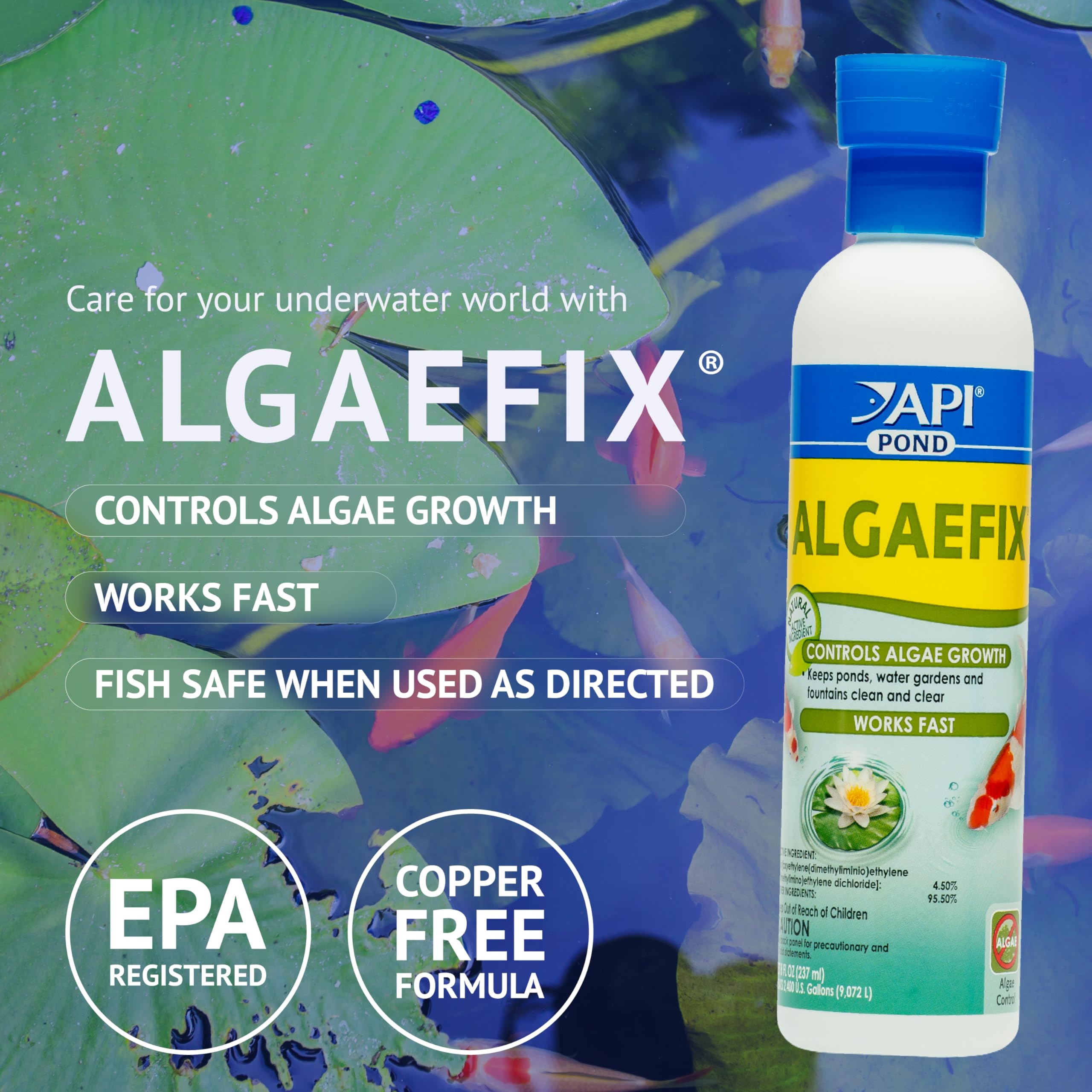 API POND ALGAEFIX pouring application showing even distribution during treatment