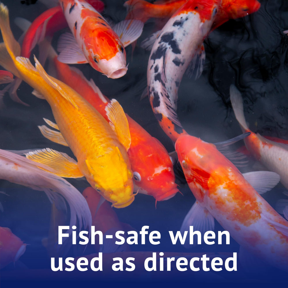 API POND ALGAEFIX safe for fish and aquatic plants.
