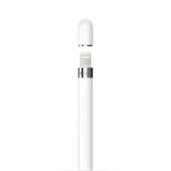 Apple Pencil offers tilt and pressure sensitivity for natural shading in sketches.