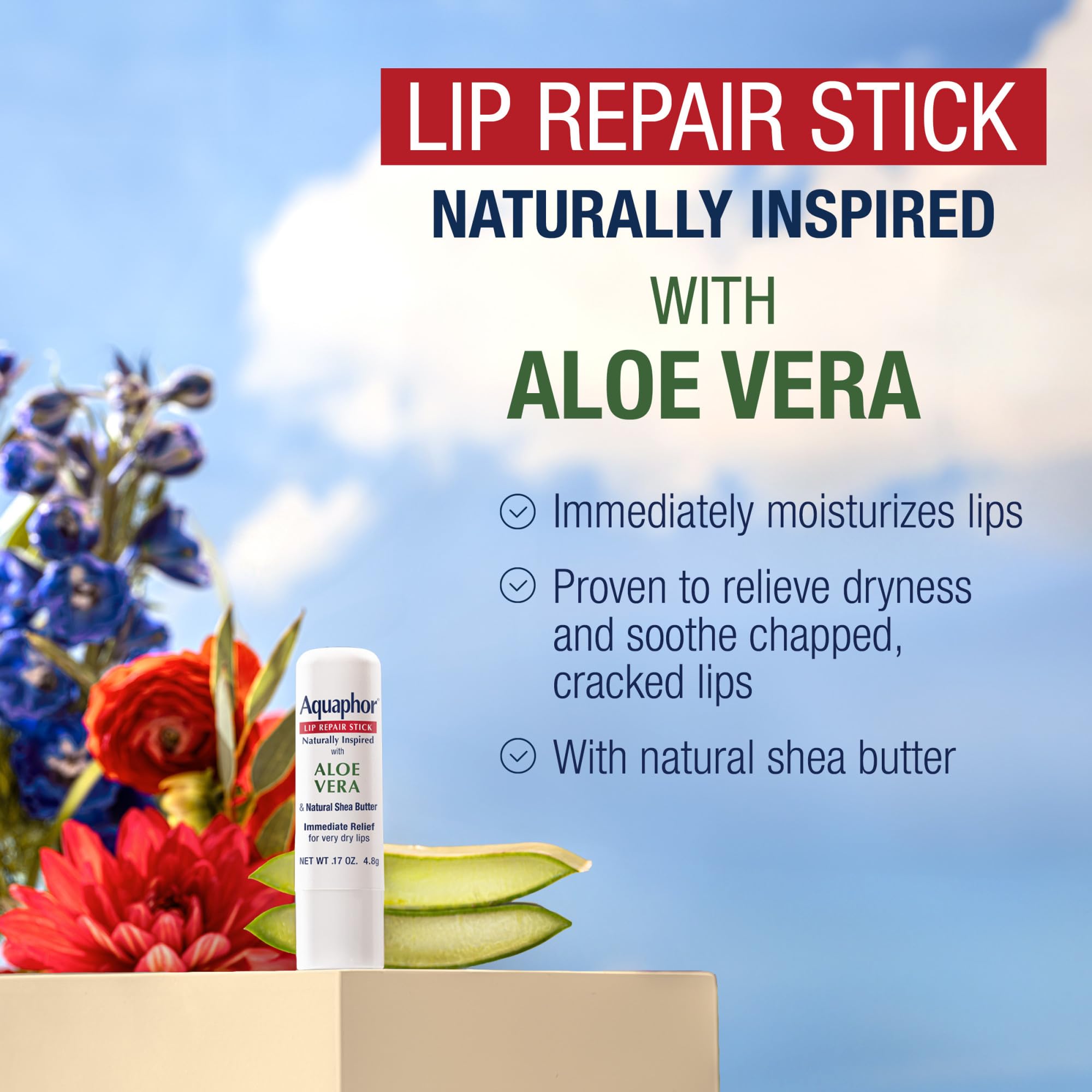 Aquaphor Lip Repair Stick shown for use in dry winter conditions.