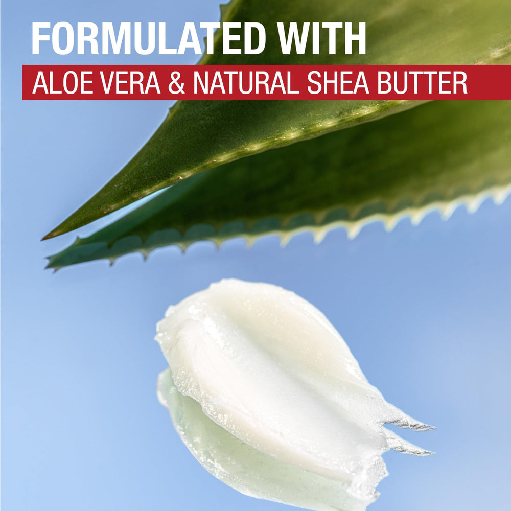 Aloe Vera and shea butter visuals in Aquaphor Lip Repair Stick.