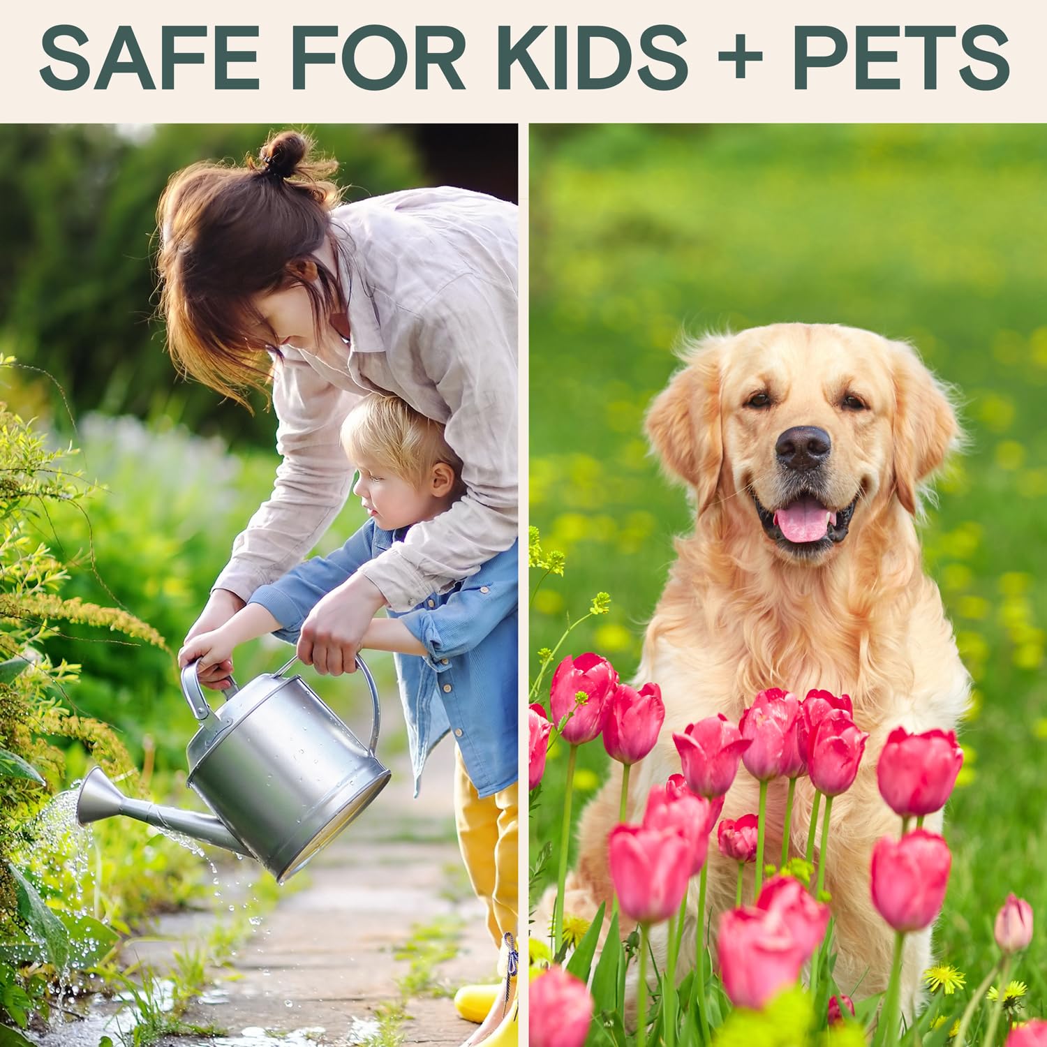 ARBER organic fungicide kid-safe and pet-safe garden protection