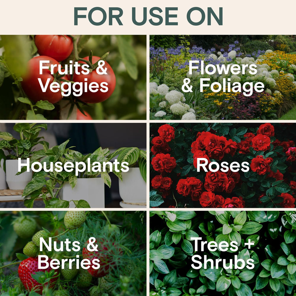 ARBER organic fungicide rose garden helping roses rebound