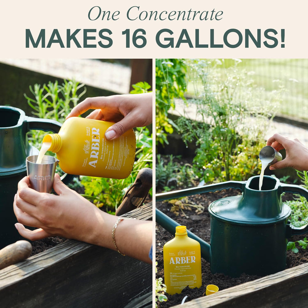 ARBER Organic Insecticide applied to garden beds for outdoor pest control