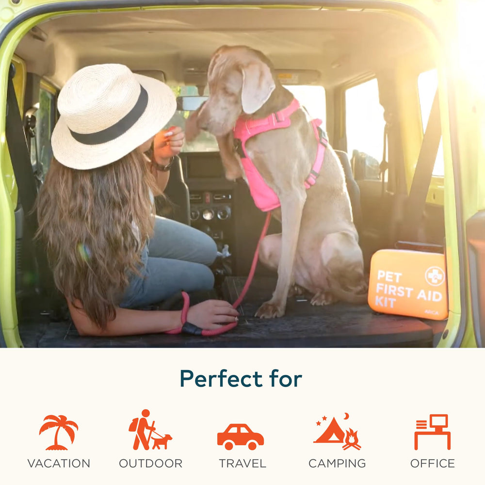 ARCA PET emergency flashlight ensures visibility in low light