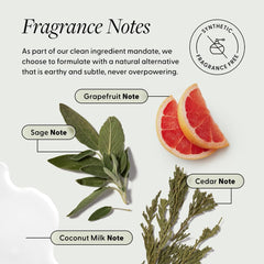 Closeup of Arey Shower Duo texture with creamy formula for daily lather.