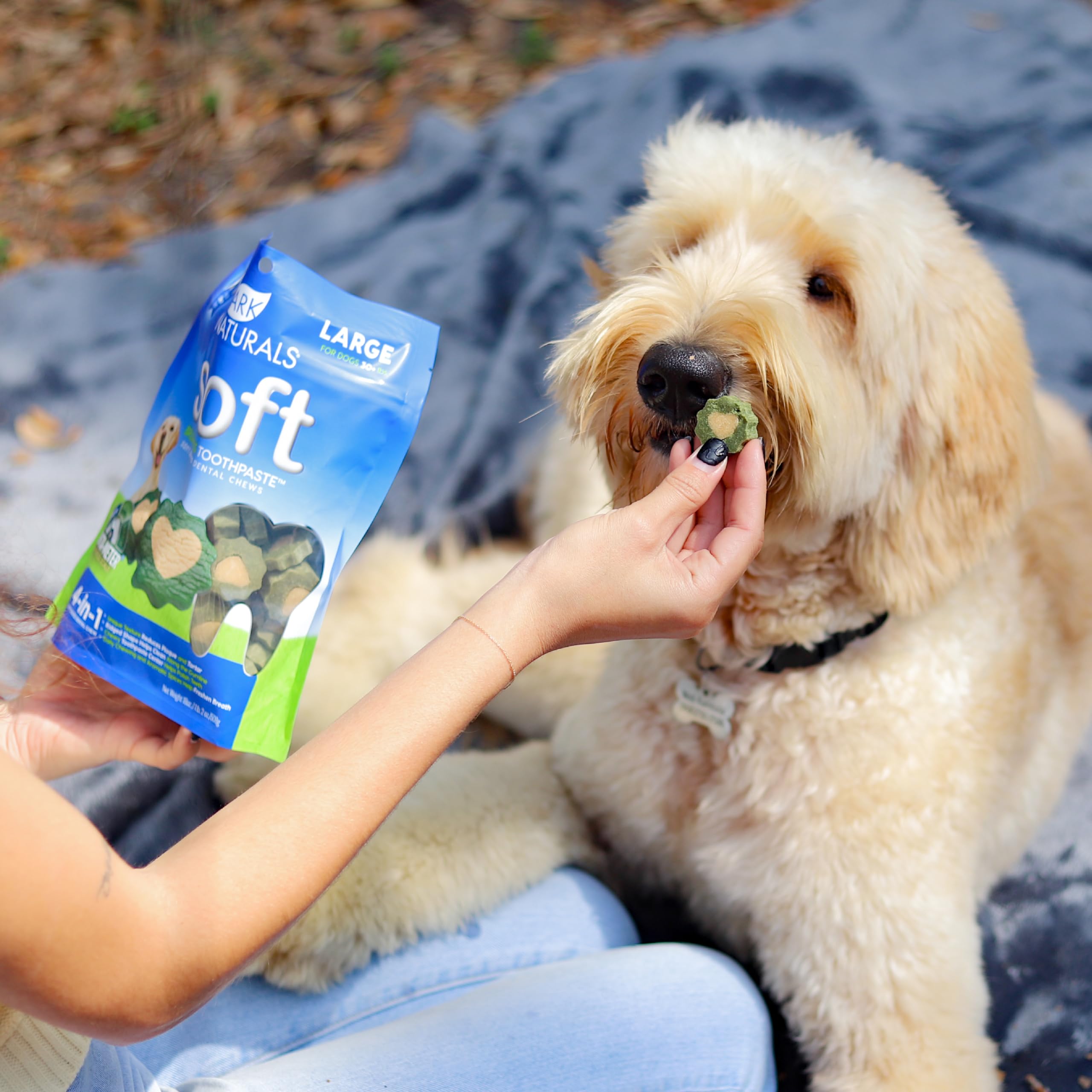 ARK NATURALS chews in use, encouraging daily chewing and breath refresh.