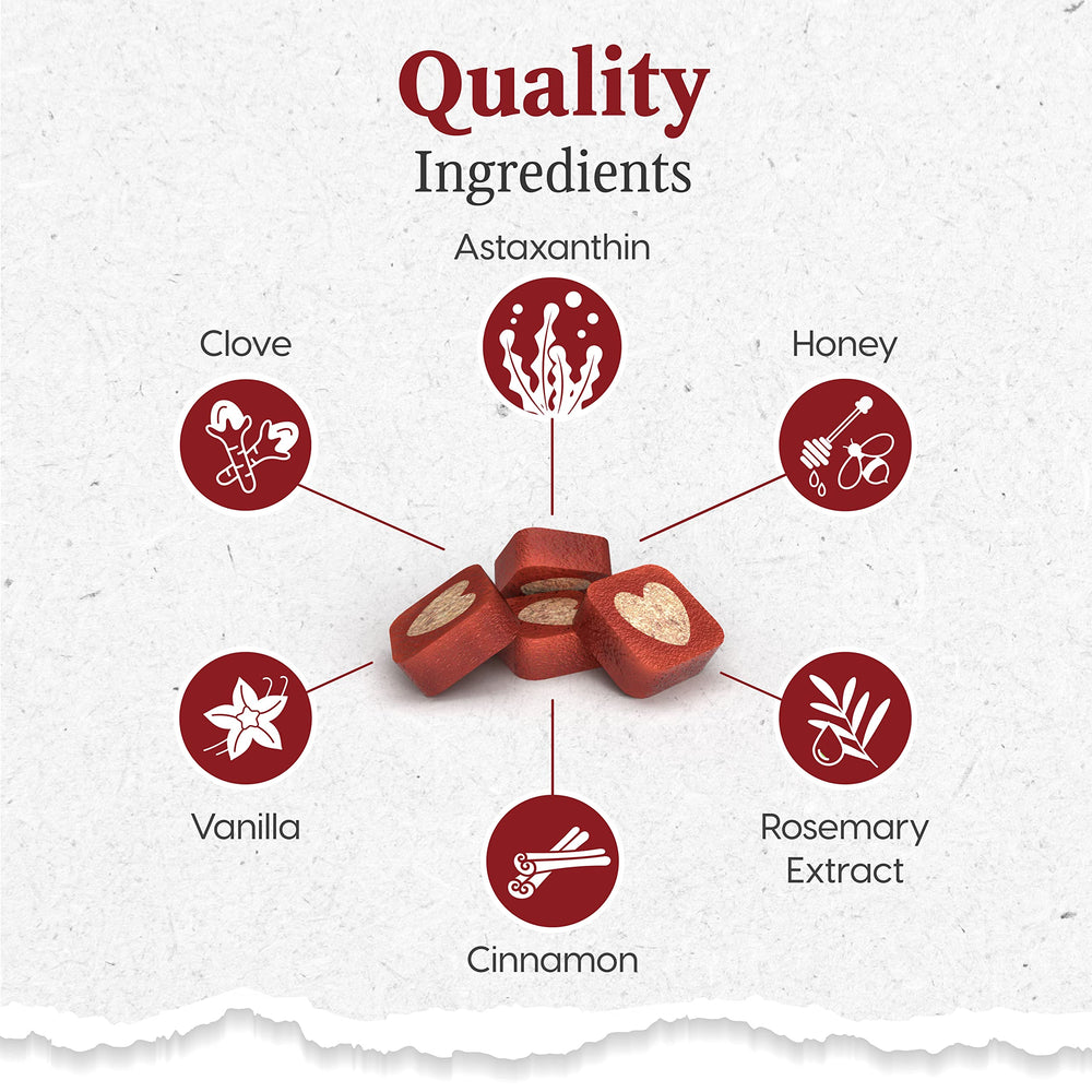 ARK NATURALS Protection Plus vet-formulated chews support gentle dental care.