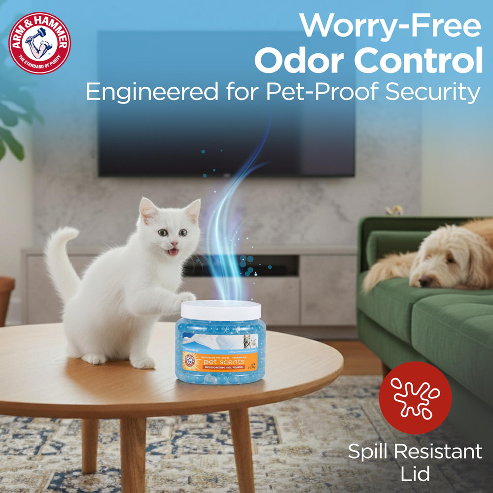 Gel beads in a living room setup for pet odor control.