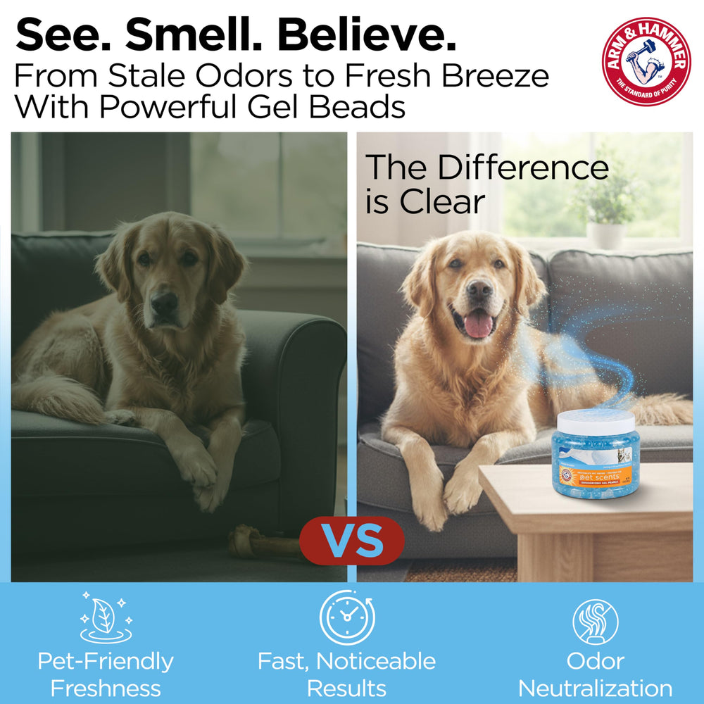 12 oz container provides extended odor control for daily routines.