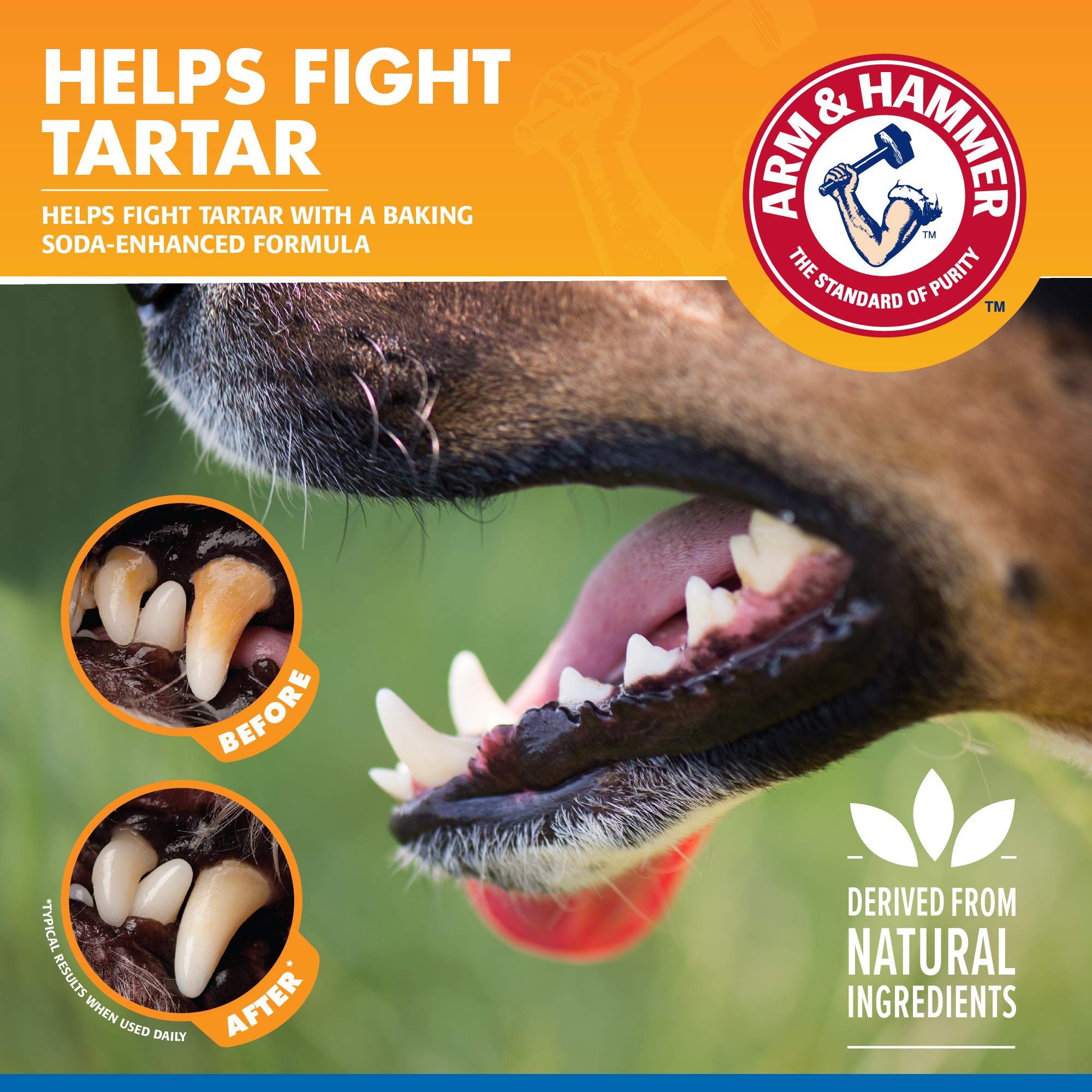 Baking soda formula in Arm & Hammer spray helps with tartar control on dogs.
