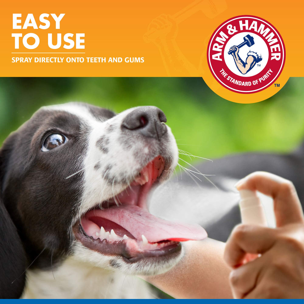 Fine mist spray applied to teeth and gums for brushless cleaning on dogs.