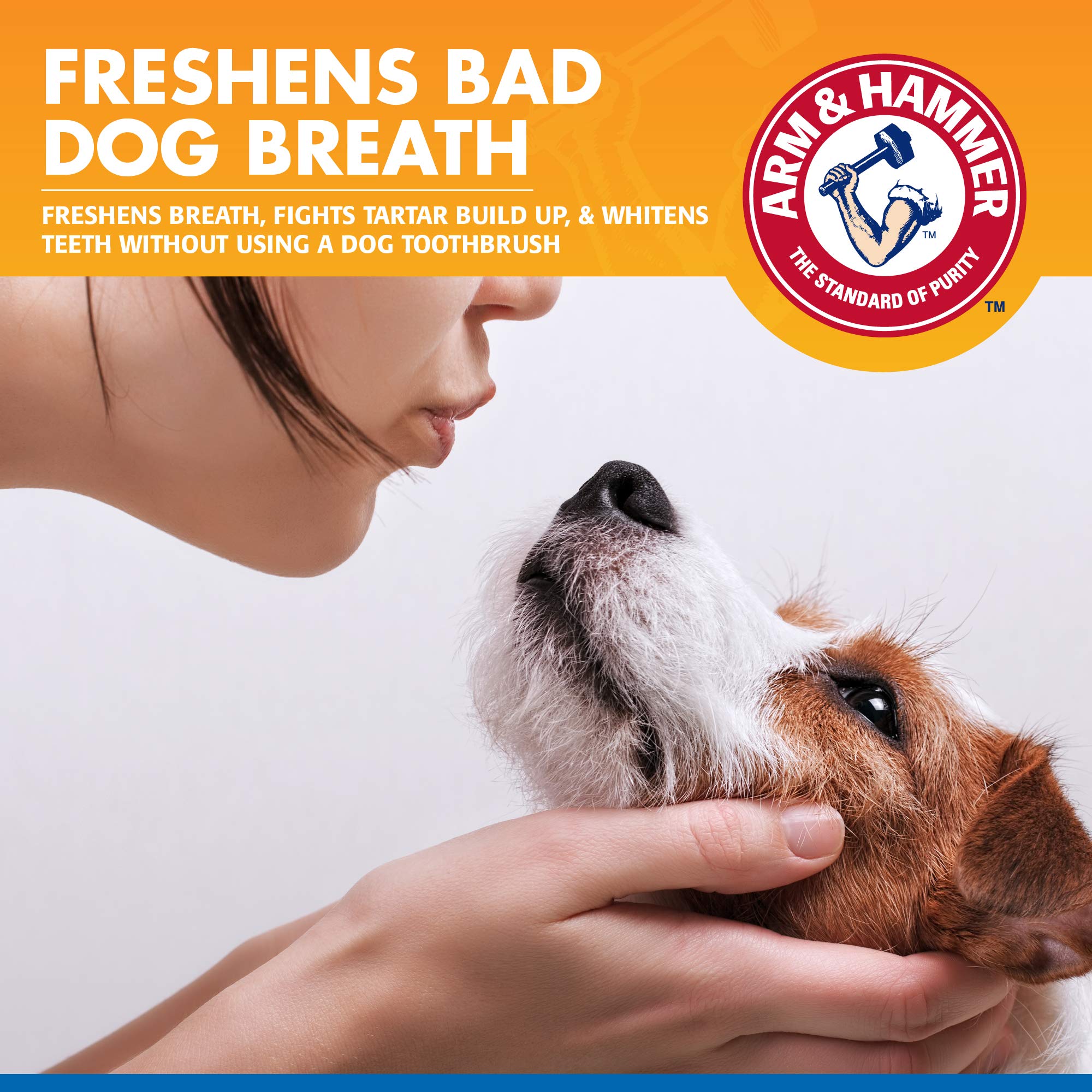 Close-up of spray targeting dogs' teeth and gums for oral freshness.