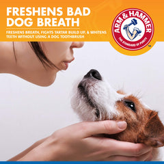 Close-up of spray targeting dogs' teeth and gums for oral freshness.