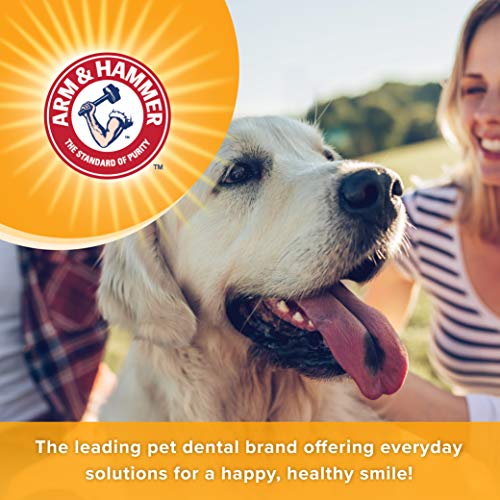 Travel-friendly Arm & Hammer dental spray for dogs with mint freshness.