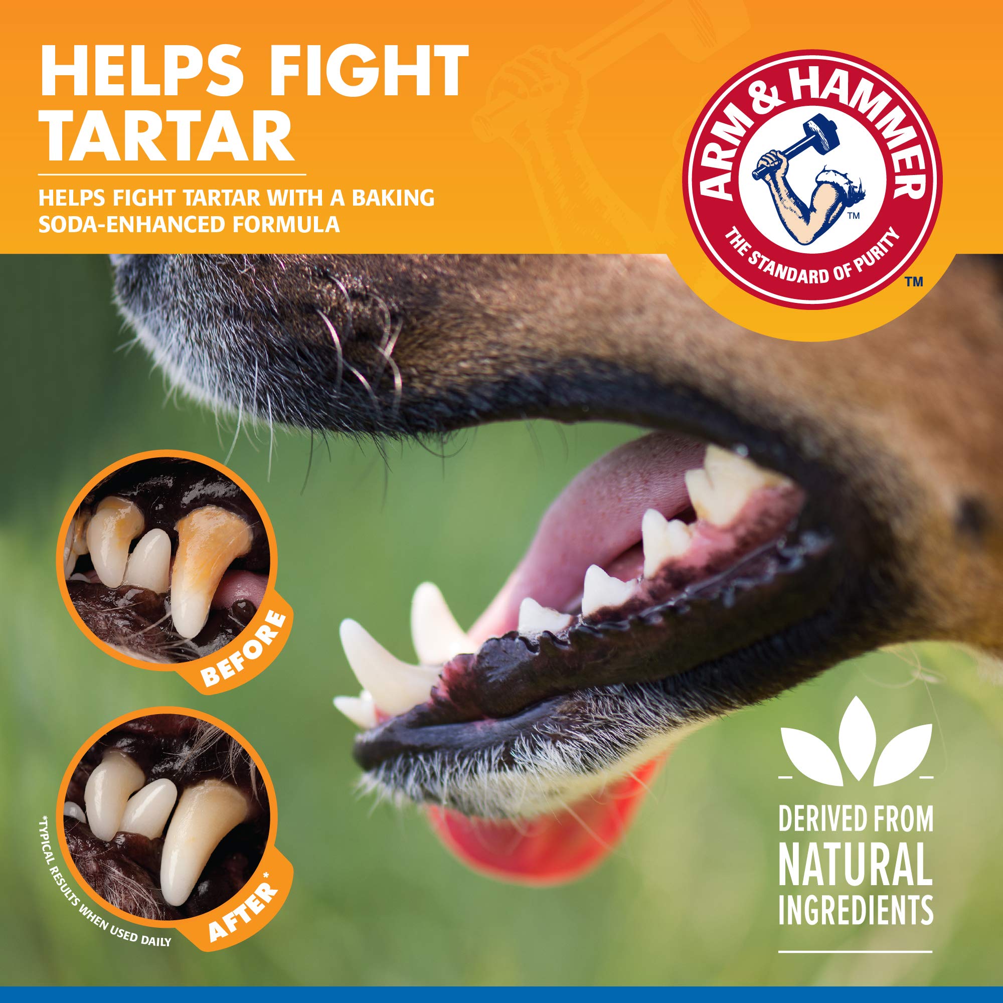No taste and no odor formula from Arm & Hammer helps picky dogs drink normally.
