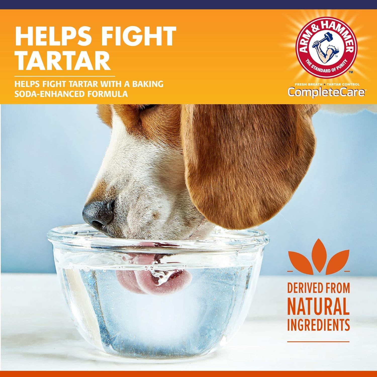 Arm & Hammer dog dental water additive breath freshness shown with odorless formula.