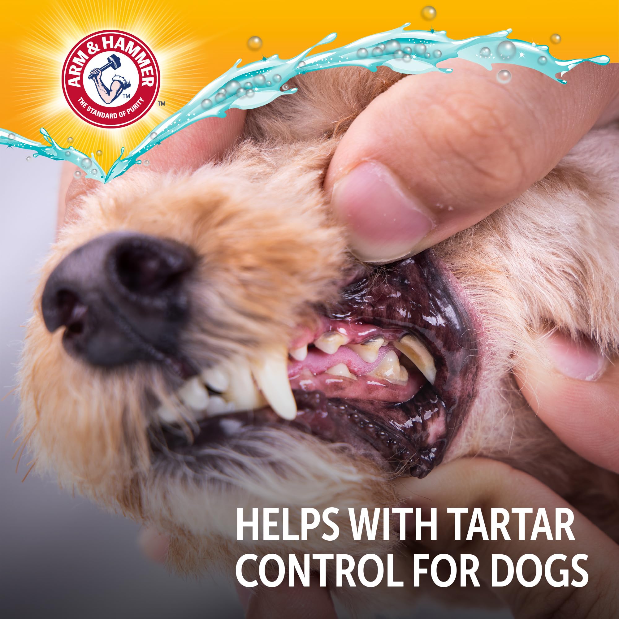 Arm & Hammer Dog Dental Water Additive simply mixes into water for effortless care.