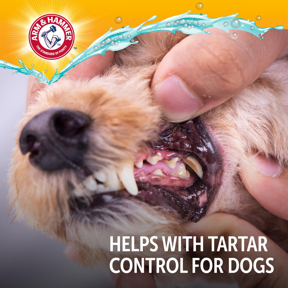 Arm & Hammer Dog Dental Water Additive simply mixes into water for effortless care.