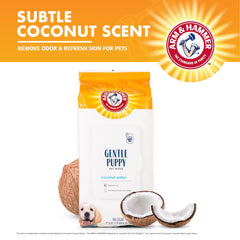 Arm & Hammer Dog Grooming Wipes for skin offer gentle cleansing between baths.